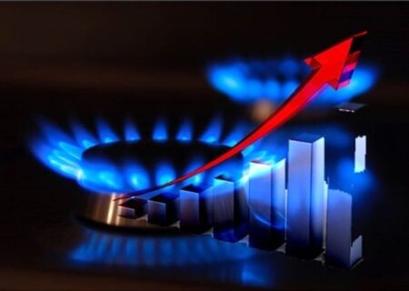اولویت وزارت نفت اختصاص گاز به مصارف خانگی و تجاری است/ شرایط برای استفاده از صنایع و نیروگاه‌ها از سوخت دوم فراهم شده
