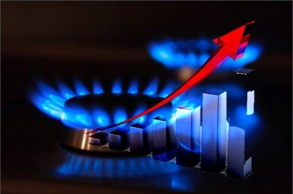 اولویت وزارت نفت اختصاص گاز به مصارف خانگی و تجاری است/ شرایط برای استفاده از صنایع و نیروگاه‌ها از سوخت دوم فراهم شده