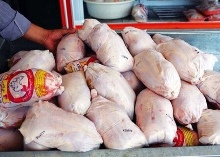 عدم تنظیم گری وزارت جهاد کشاورزی محصول مرغ را بدون خریدار گذاشته است