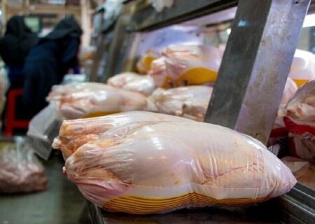 وزارت جهاد کشاورزی باید افزایش قیمت گوشت مرغ را پیش‌بینی می‌کرد