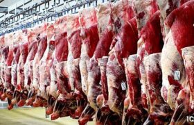 وعده کاهش قیمت گوشت قرمز را باید با احتیاط اعلام کرد