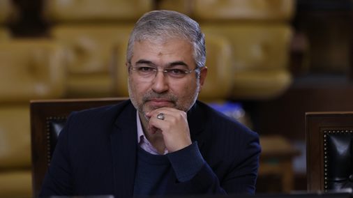 لزوم تدوین قانون جامع برای ساماندهی سگ‌های ولگرد