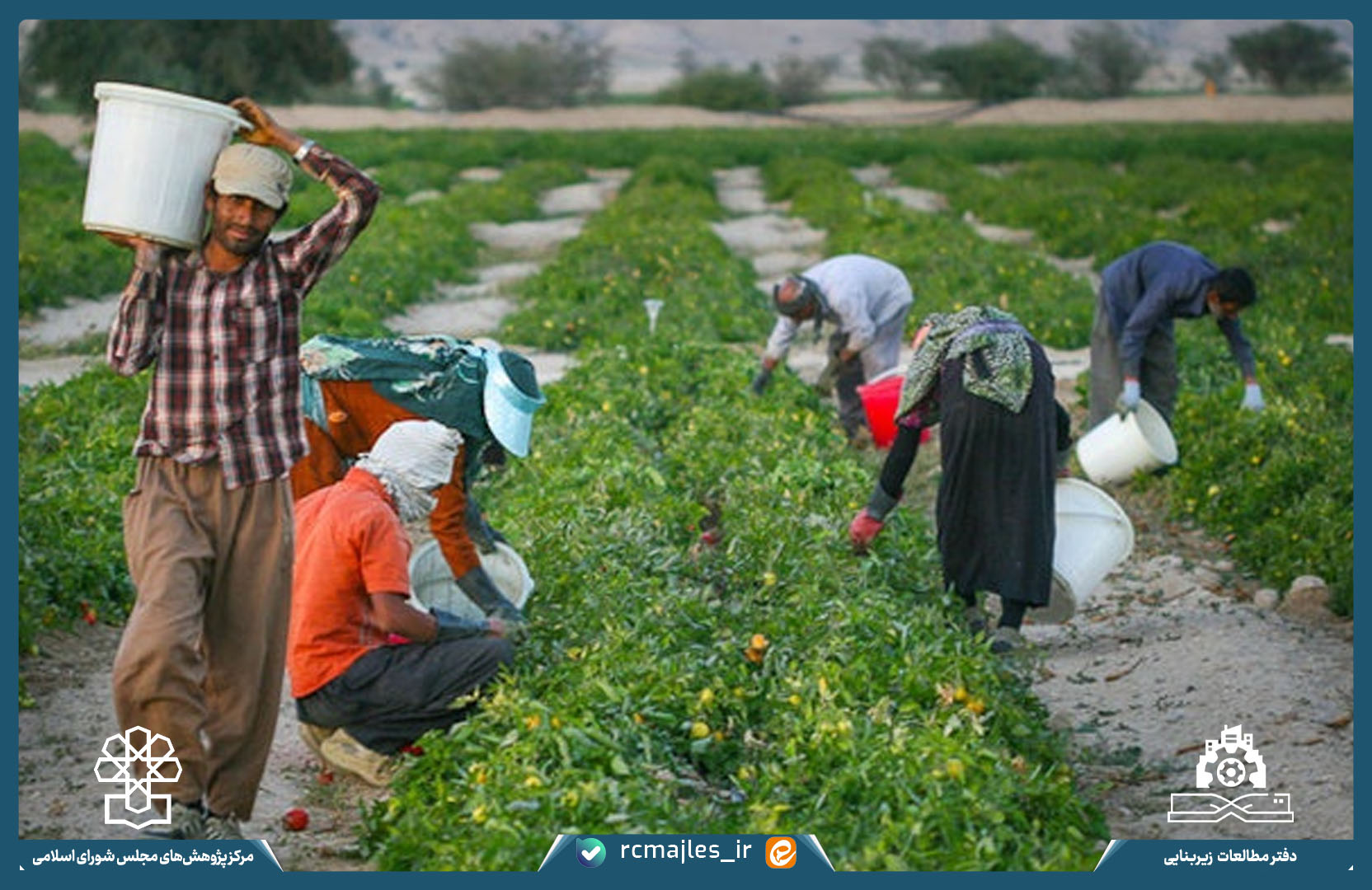 تحلیل سیاست های جذب جوانان در مناطق روستایی و بخش کشاورزی، دلالت هایی برای نظارت و قانونگذاری
