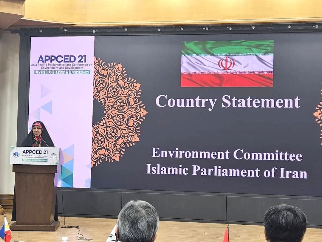 جامعه جهانی باید متجاوزان را ملزم به پرداخت خسارت‌های زیست‌محیطی کند